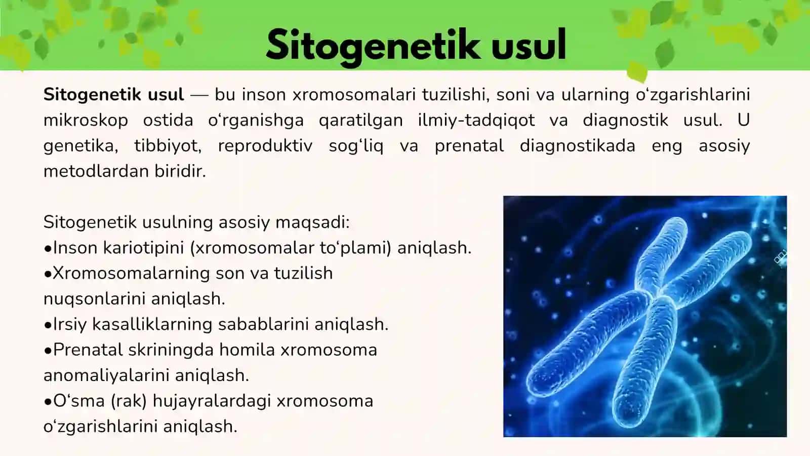 Odam genetikasining o'rganish usullari: sitogenetik, dermatoglifika, biokimyoviy. Prenatal diagnosti 3