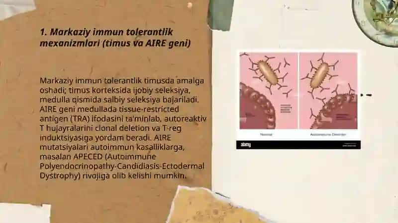 Immunologik tolerantlik nuqsonlari. Autoimmun xastaliklar 3