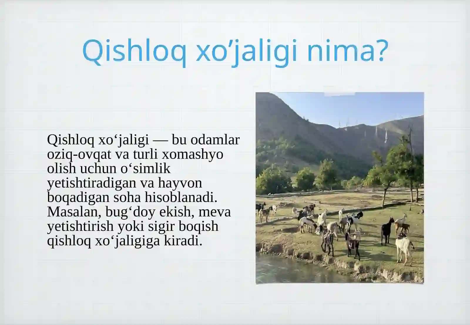 Qishloq xo’jaligi 3