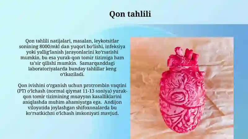 Qon tomirlar va yurak 3