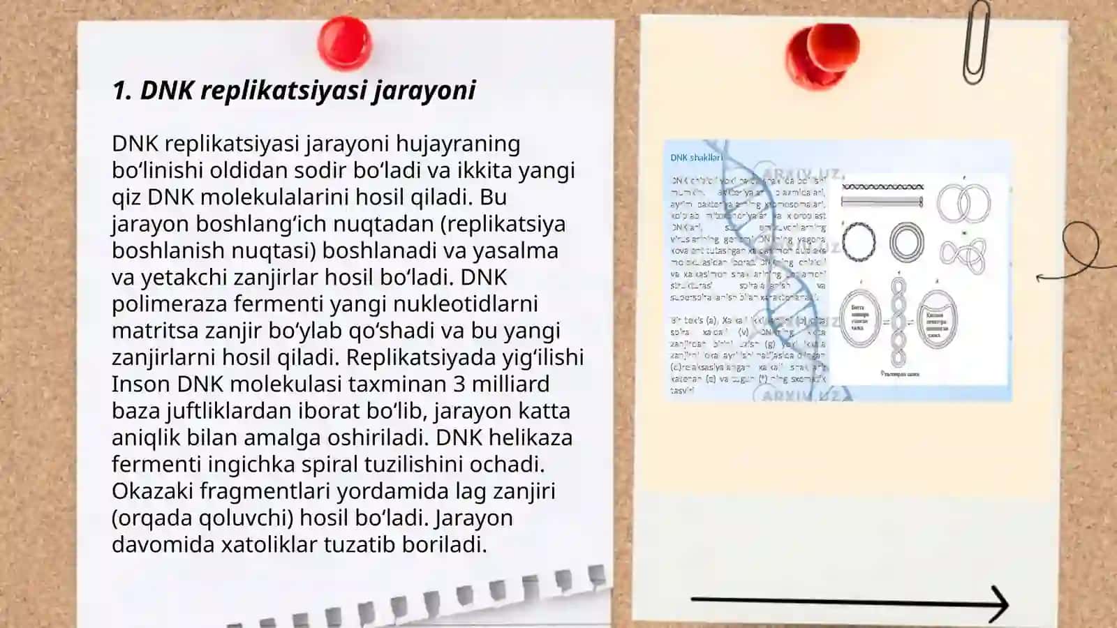 DNK ning oqsil biosintezidagi ro’li 3