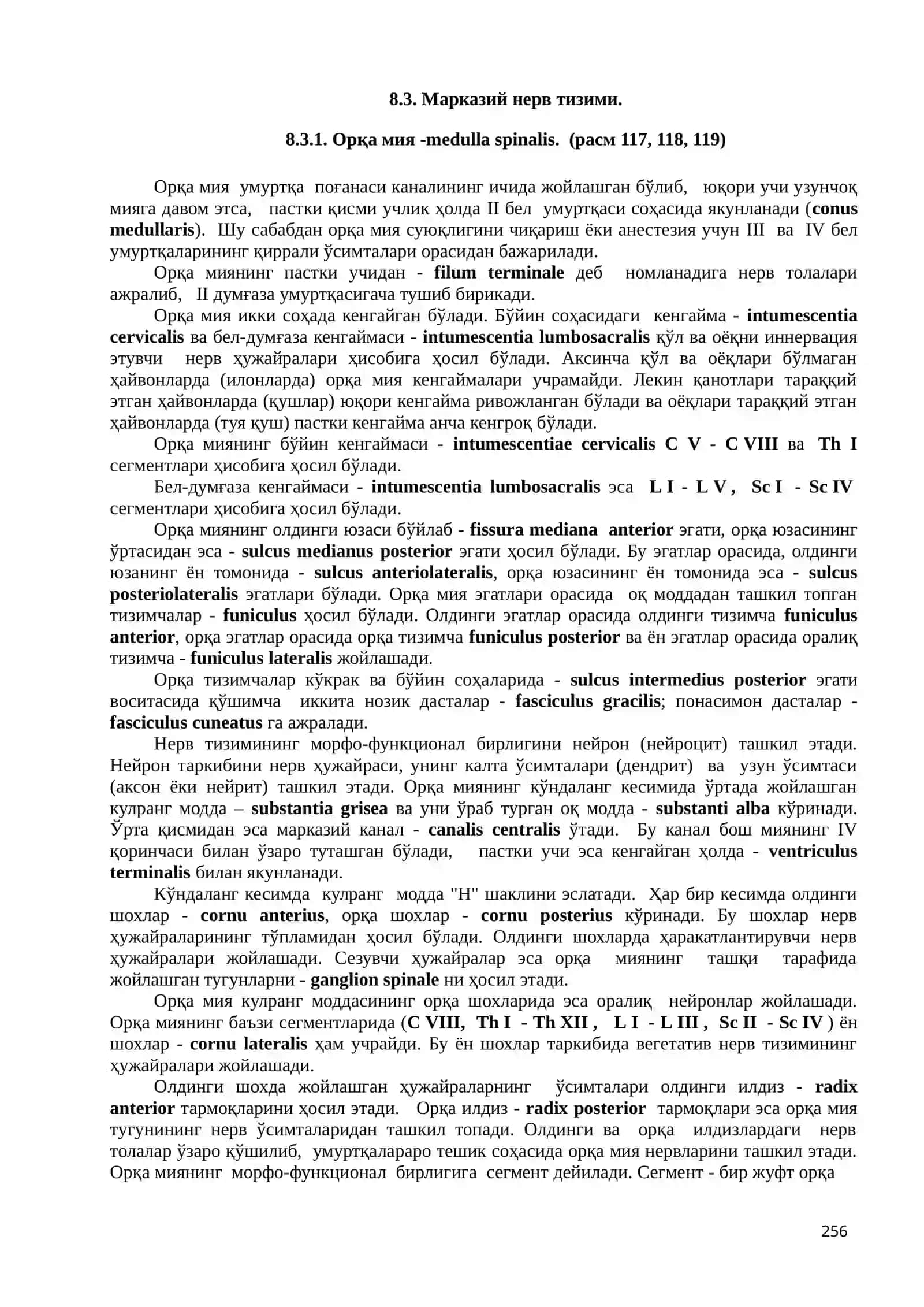 Neurologia – нерв тизими ҳақида бўлим 3