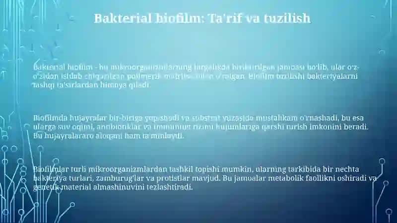 Bakteriyalarning bioplenkasi 3