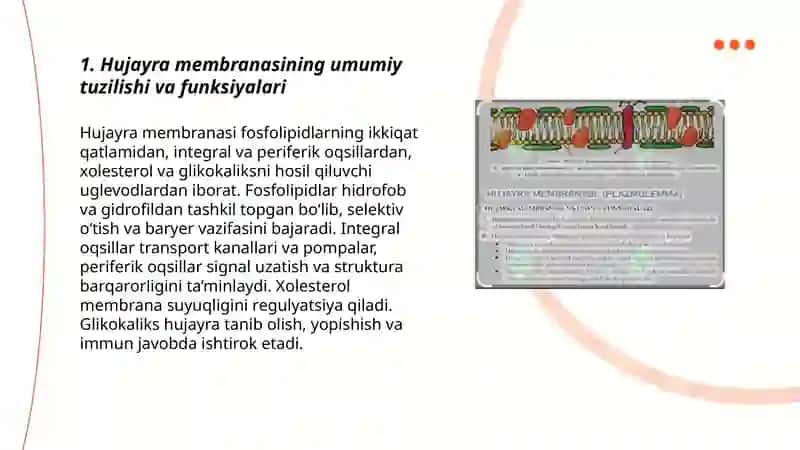 Hujayra membranasi va uning nozik tuzilishi 3