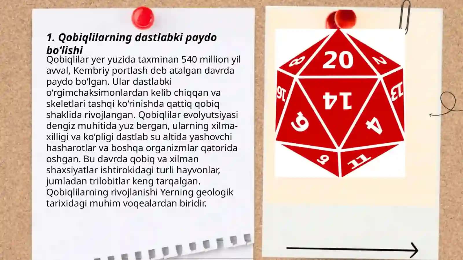 Qobiqlilarning kelib chiqishi va evolyutsiyasi haqida gʻoyalar 3