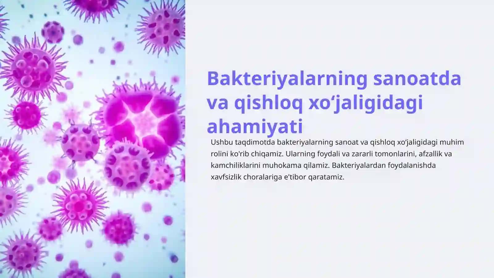 Bakteriyalarning sanoatda va qishloq xoʻjaligidagi ahamiyati 3