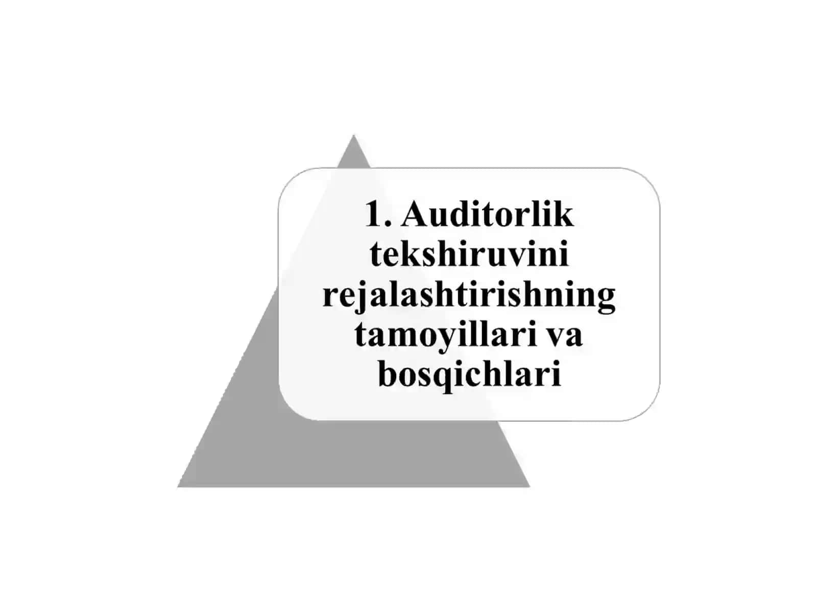 Auditorlik tekshiruvini rejalashtirish 3
