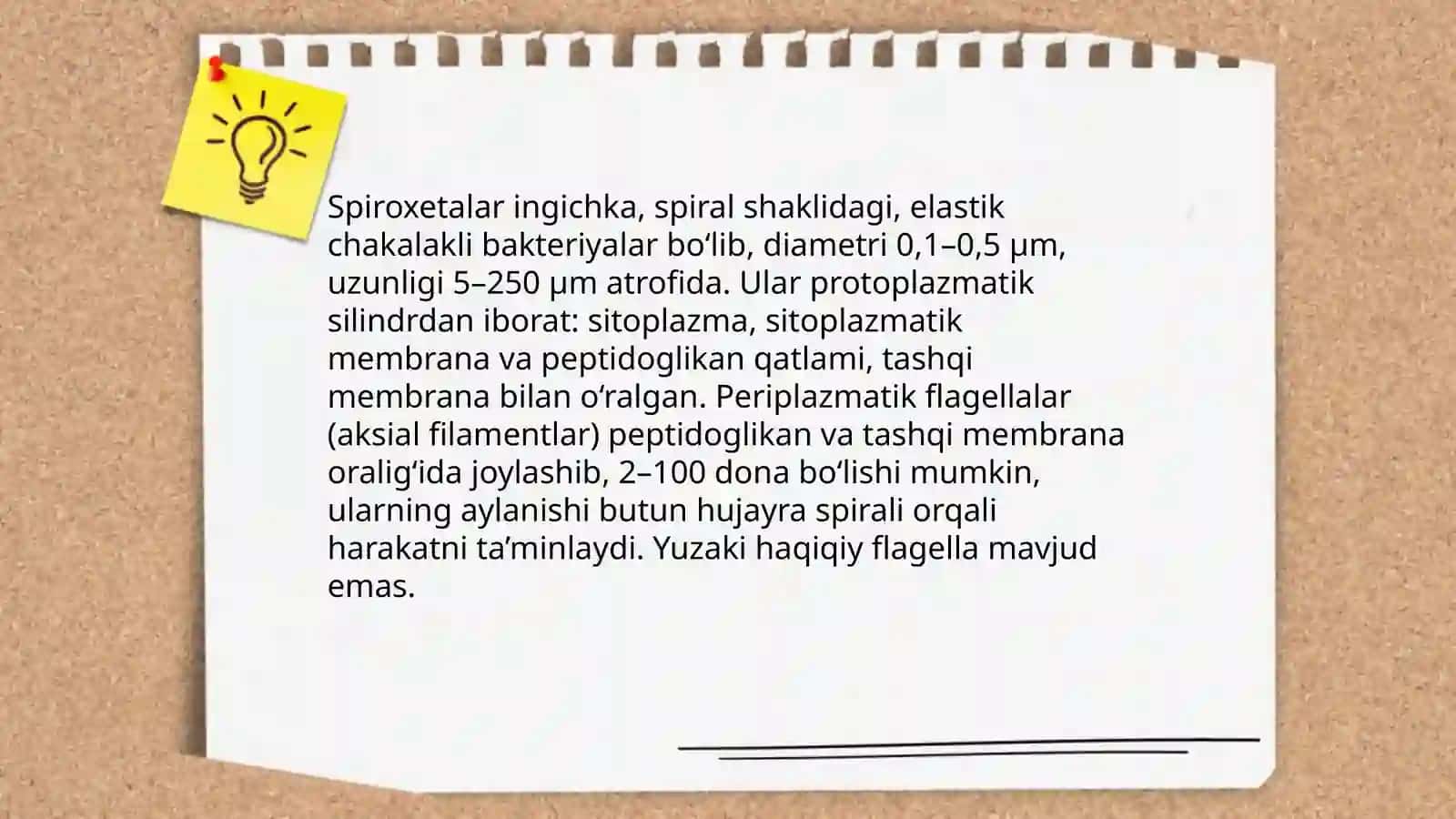 Spiroxetalar va Mikoplazmalar 3