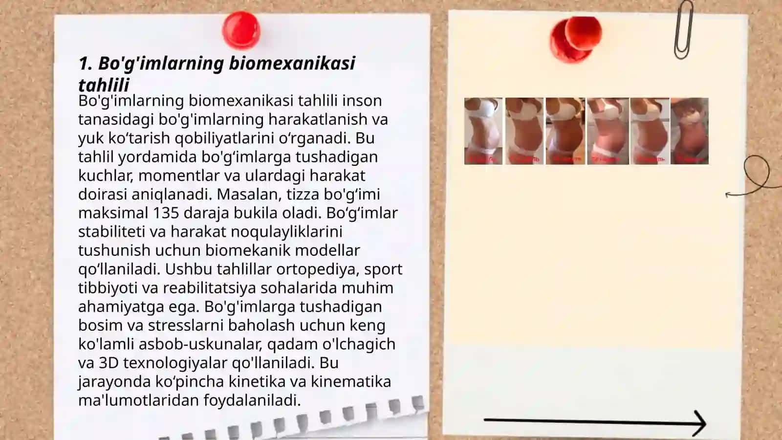 Bo'g'imlarning biomexanikasi, Birlashmalarning rentgenanatomiyasi 3