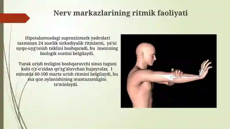 Asab markazlari xossalari 3