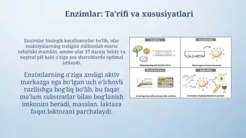 Enzimlar: Ta'rifi va xususiyatlari 3