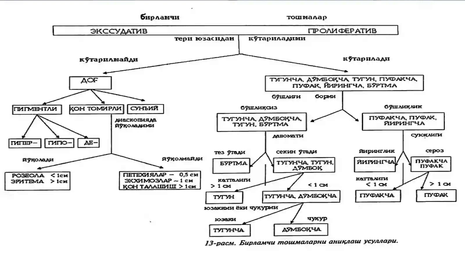 Dermatozlarning umumiy klinik belgilari.Birlamchi toshmalar. 3