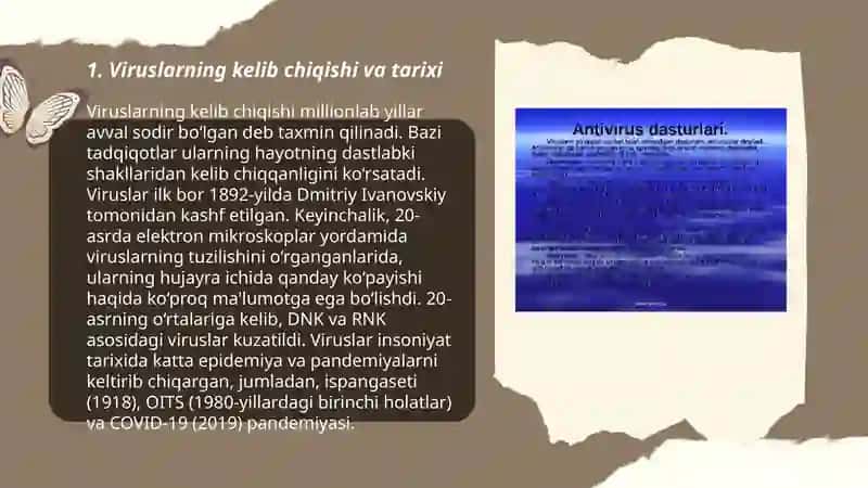 Viruslar va antiviruslar 3