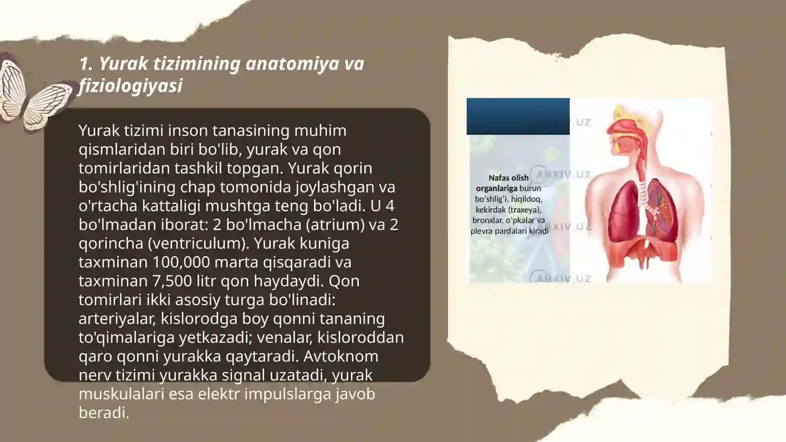 Yurak tizimining yoshga oid fiziologiyasi va gigenasi 3
