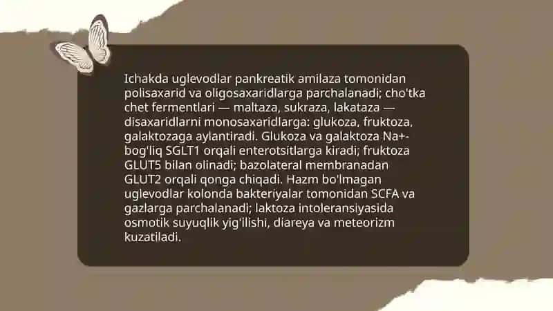Uglevodlar almashinuvi 3