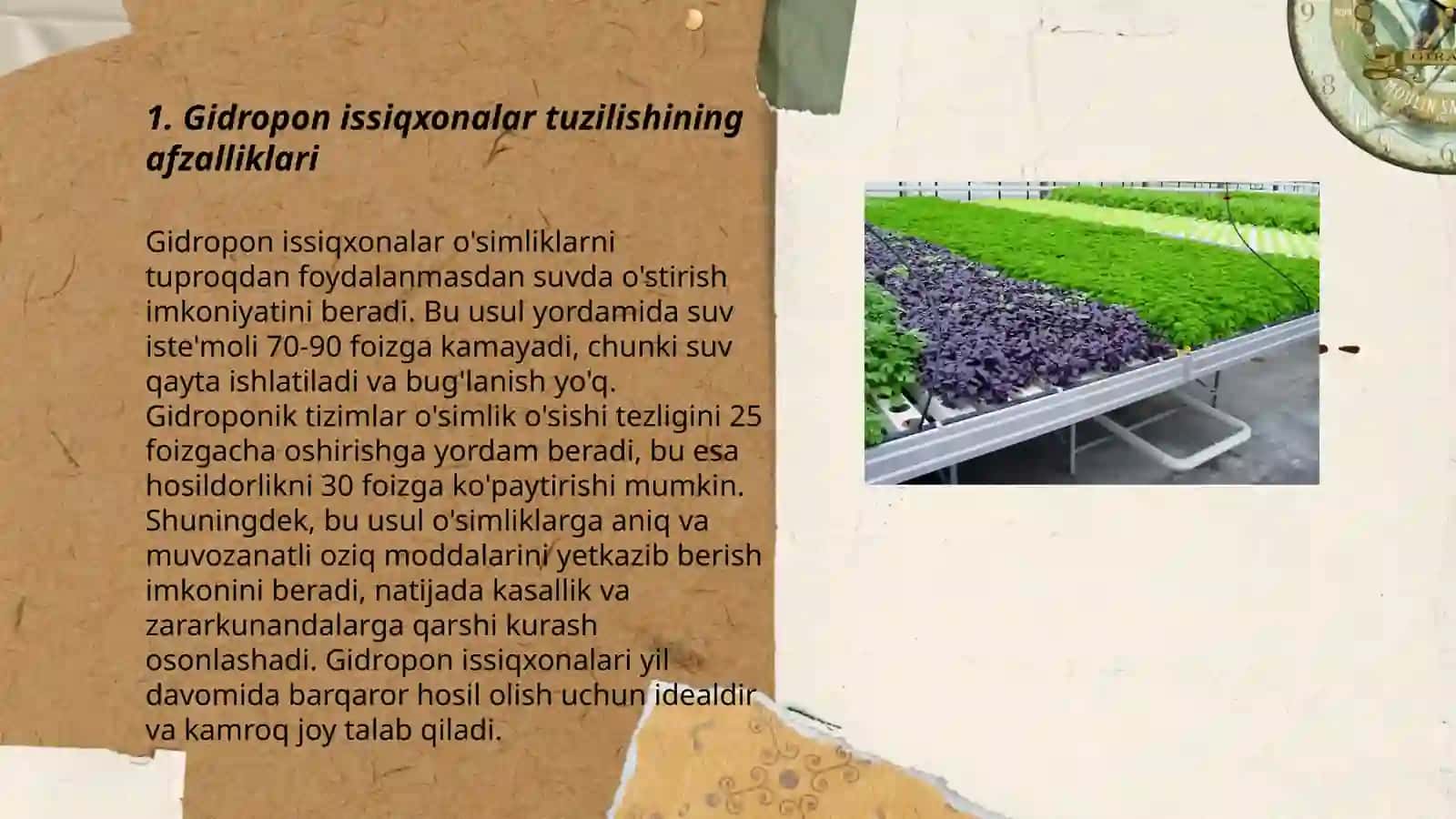 Gidropon issiqxonalar tuzulishi 3