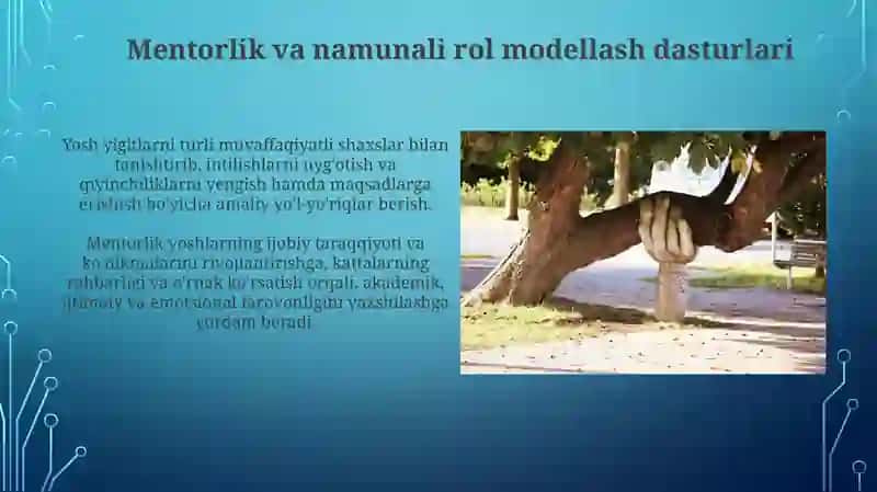 Mentorlik va namunali rol modellash dasturlari 3