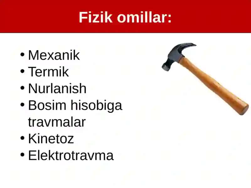 Tashqi muhit omillarining organizmga patogen ta’siri 3
