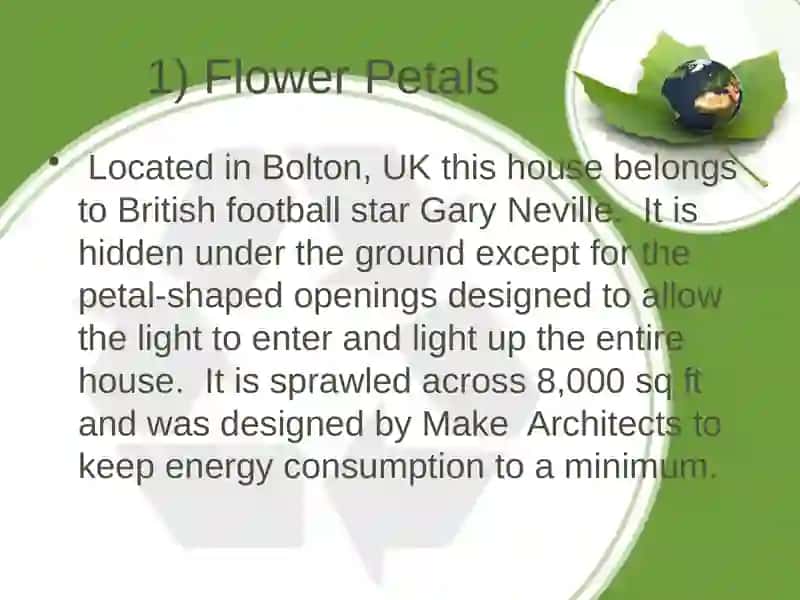 Flower Petals 3