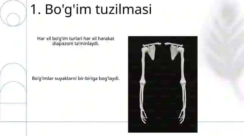 Birlashuvlar Tana suyaklarni birlashuvi 3