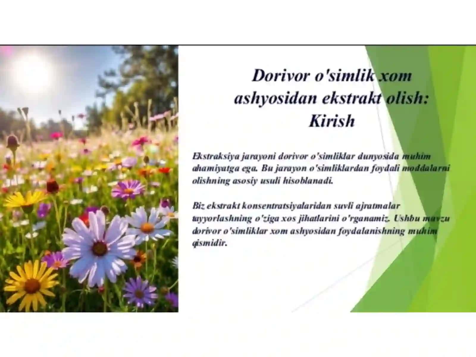 Dorivor o'simlik xom ashyosidan ajratma olishda ekstraksiya jarayonining asoslari. 3