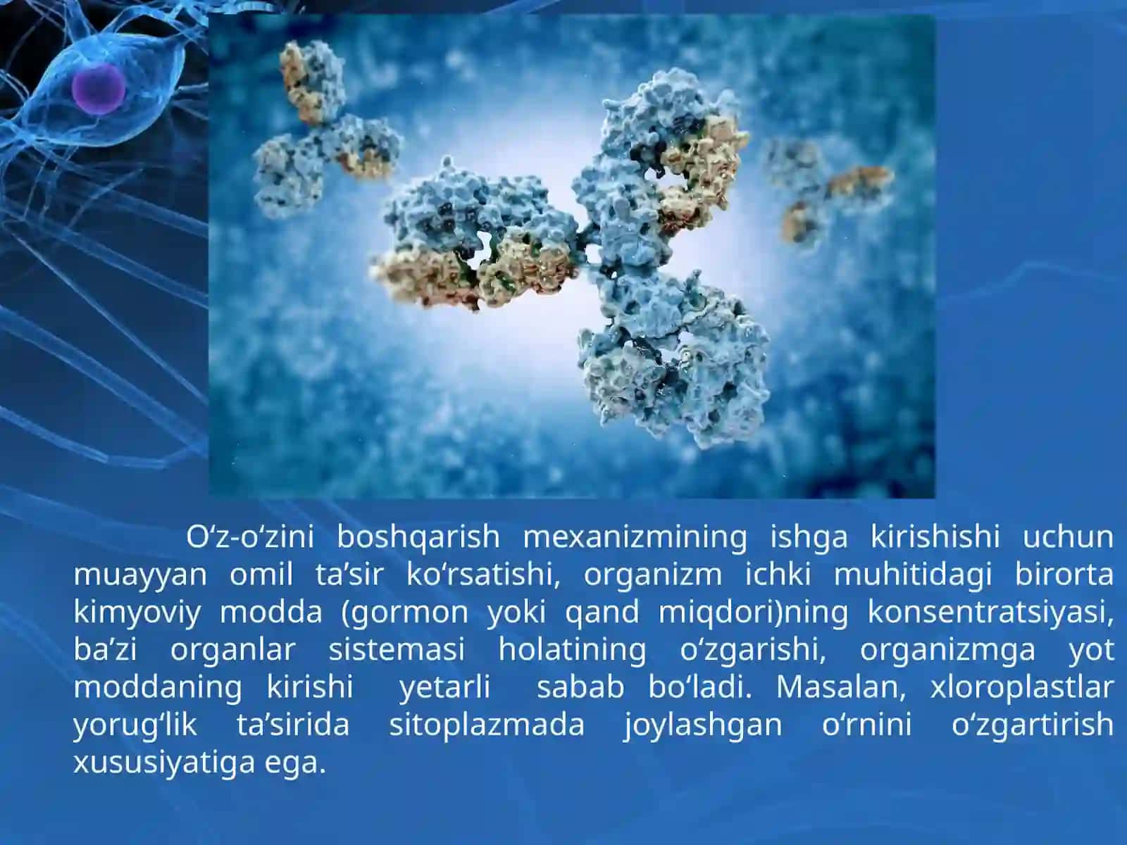 Tirik organizmalar o‘z-o‘zini idora etish organlari 3