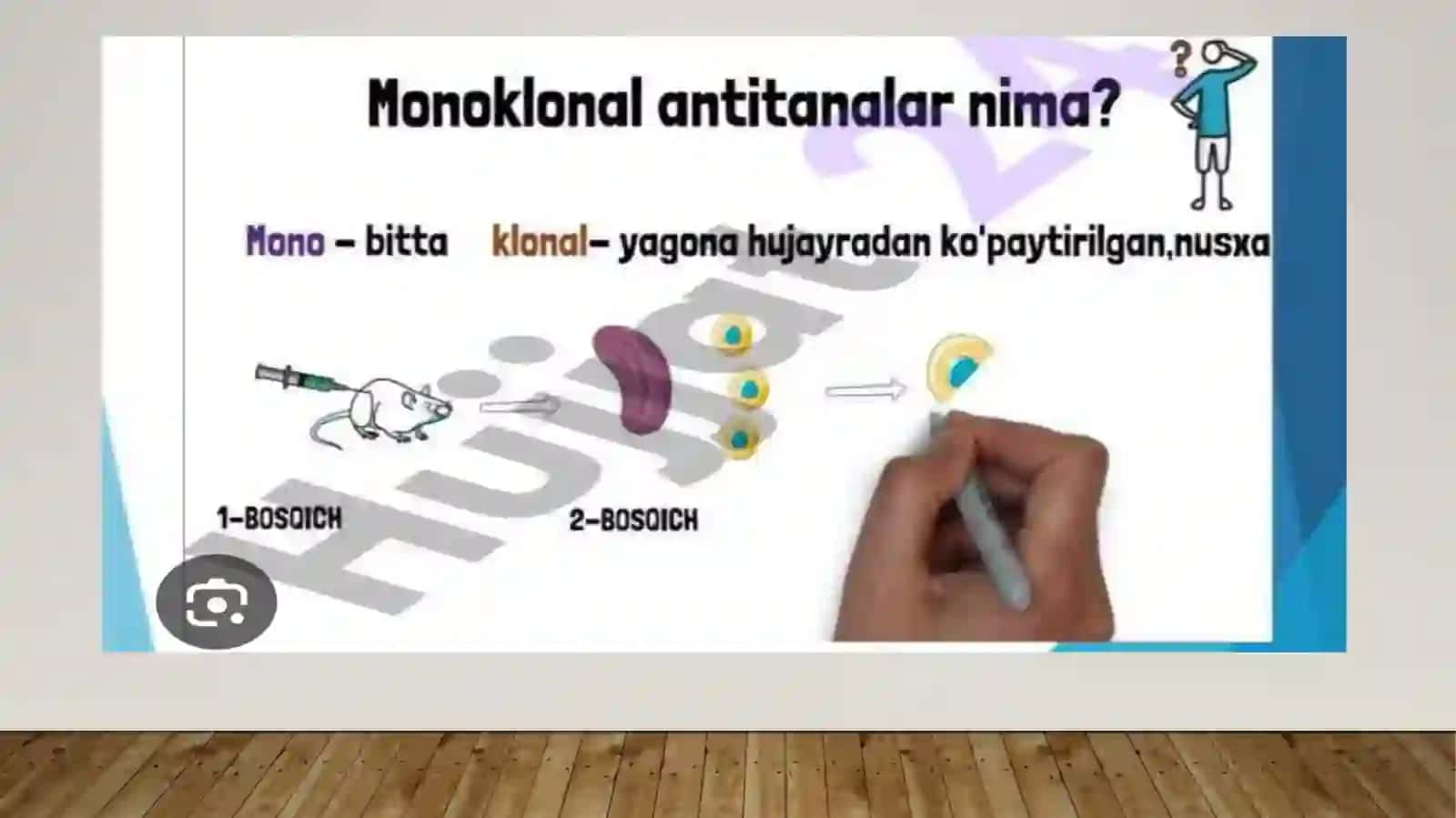 Monoklonal antitelalar ularning olinishi tiplari amaliyotda qo’llanishi.Sitokinlarinterferon 3