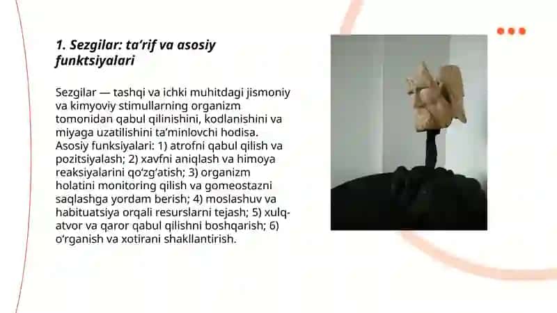 Sezgilar haqida umumiy tushuncha hamda uning nerv-fiziologik asoslari 3