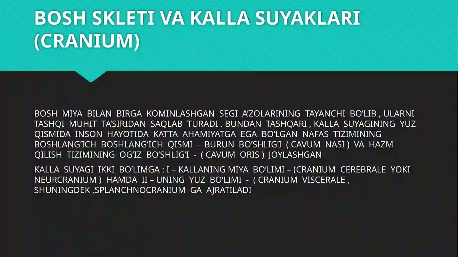 BOSH MIYA QISMI SUYAKLARI.ENSA,PESHONA VA TEPA SUYAKLARI 3