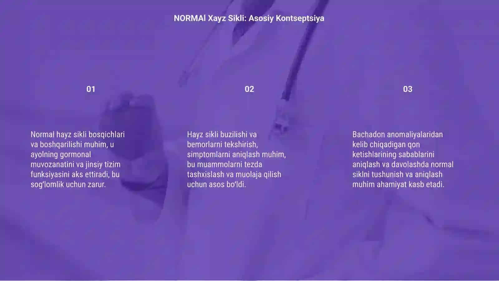 Normal Xayz Sikli 3