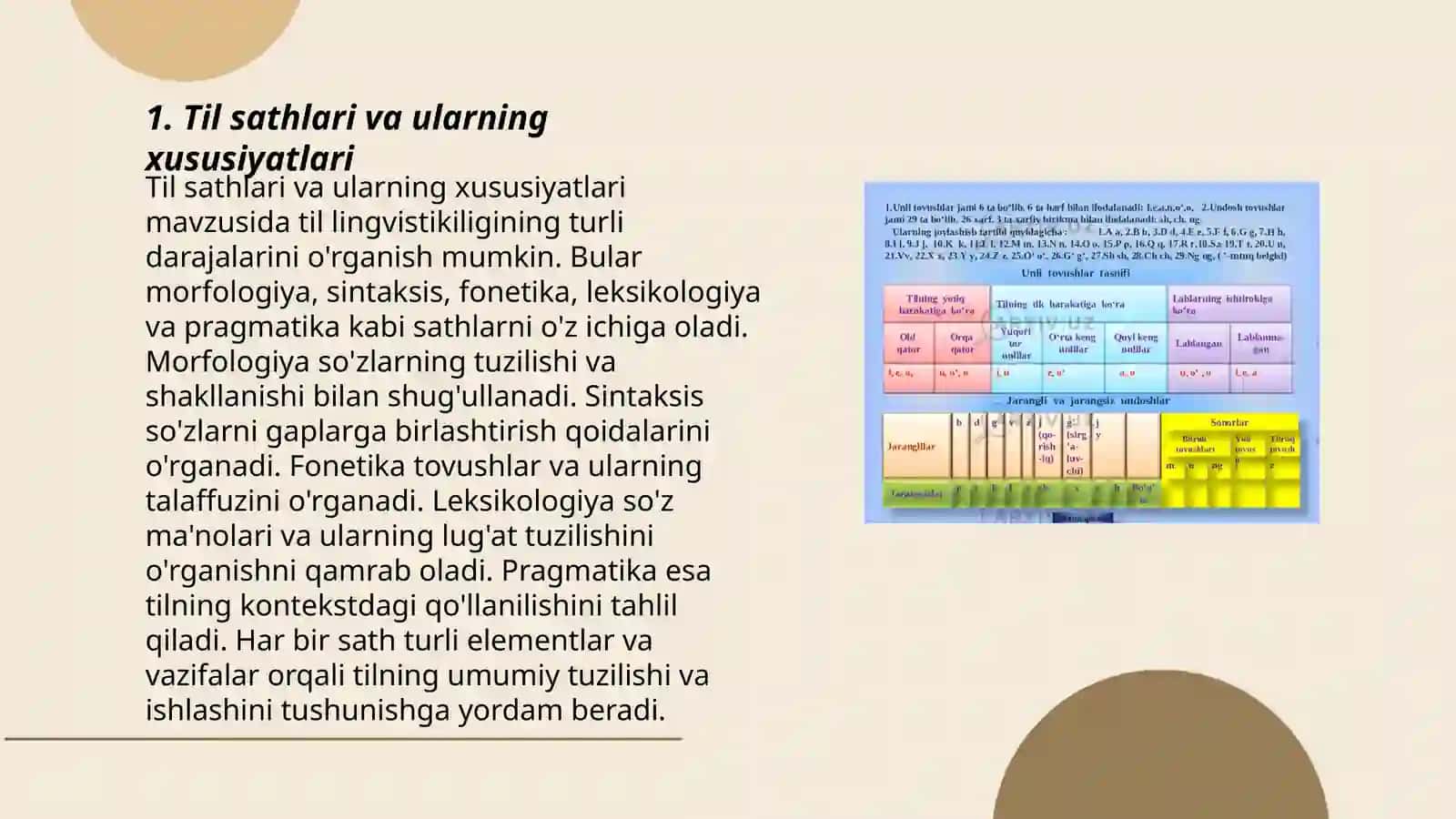 Til sathlari va sathlarga ajratish tamoyillari 3