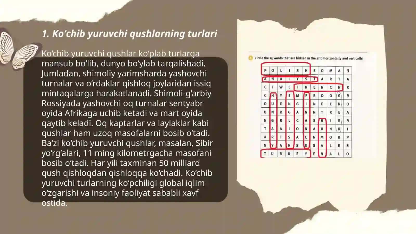 Koʻchib yuruvchi qushlar asosiy turlari va ularning faoliyati 3