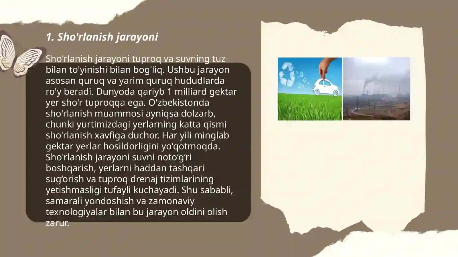 Sho'rlanish,cho'llanish,muammolari va atrof-muhit muhofazasi 3