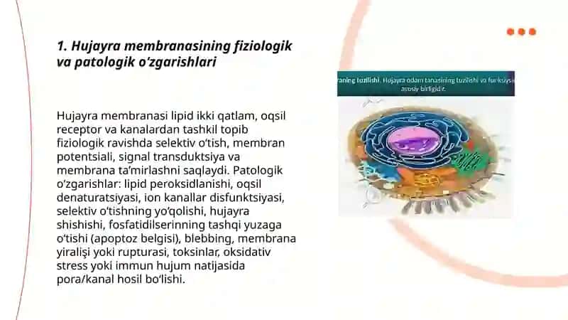 Hujayra membranalari va organellarining patalogiyasi.Hujayra o’liming turkari va mexanizmlati 3