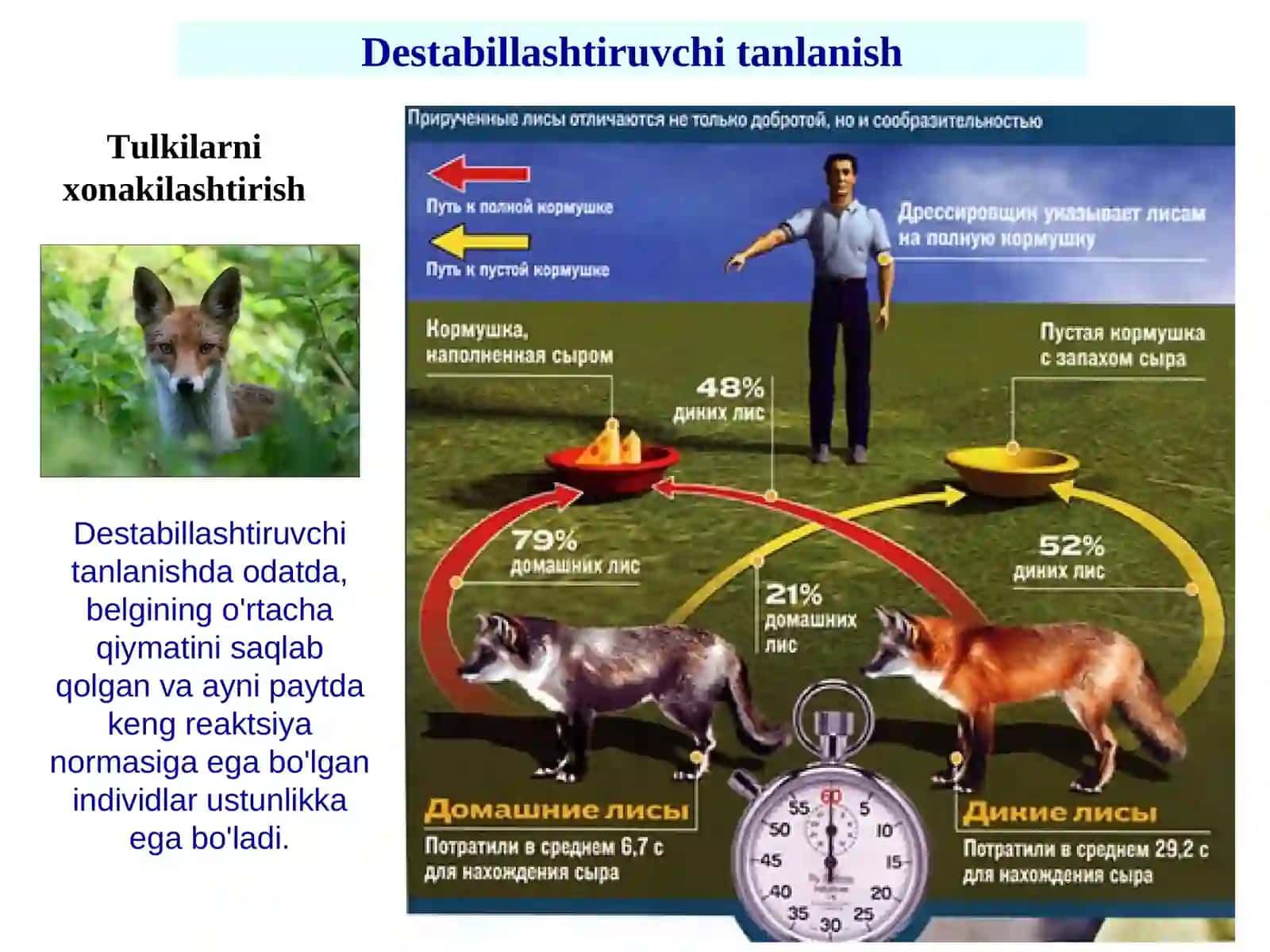 Jinsiy tanlanish 3