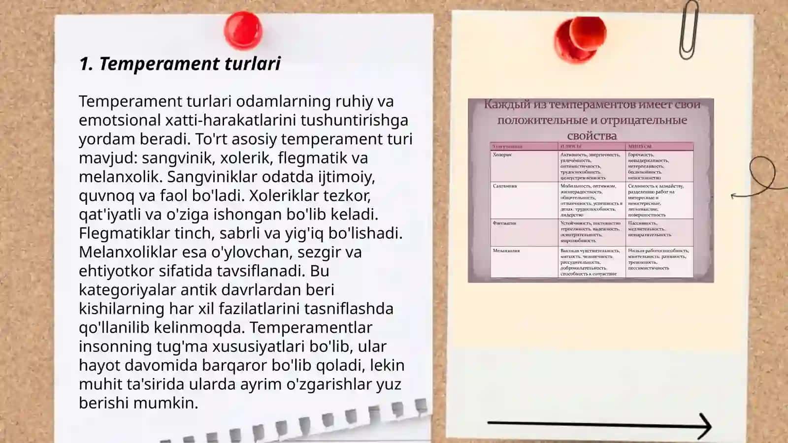 Temperament Turlari 3