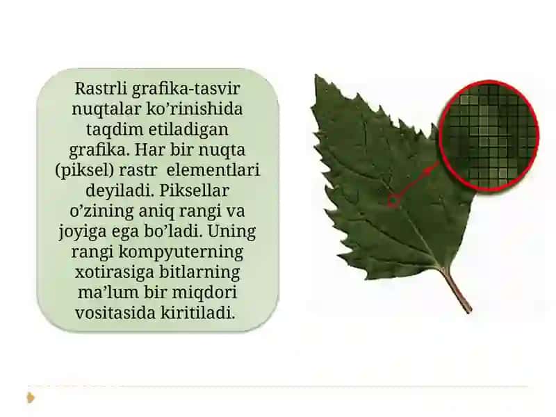 RASTRLI GRAFIKA. RASTRLI GRAFIKA DASTURLARI 3