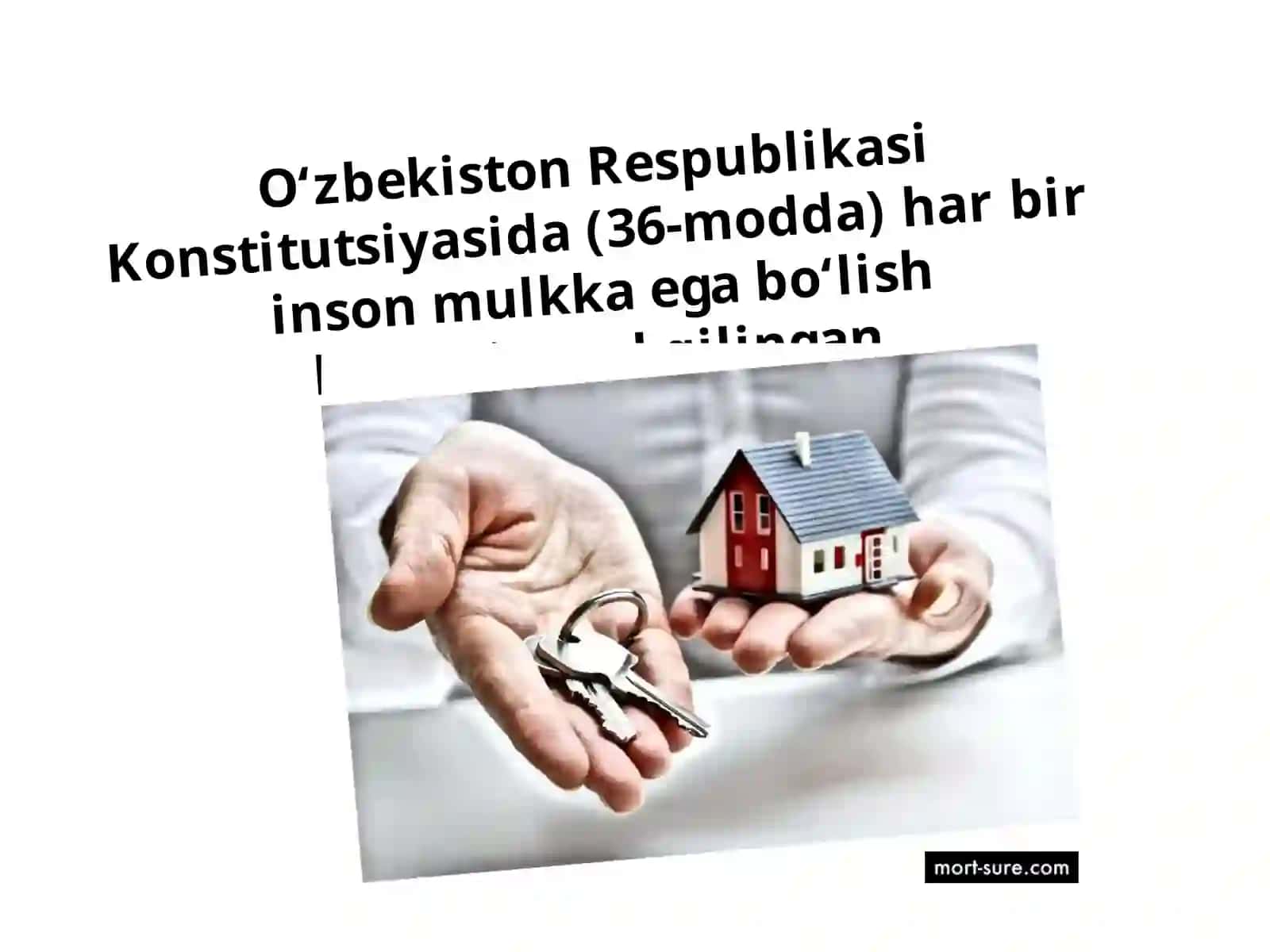 Mulk huquqi va boshqa ashyoviy huquqlar 3