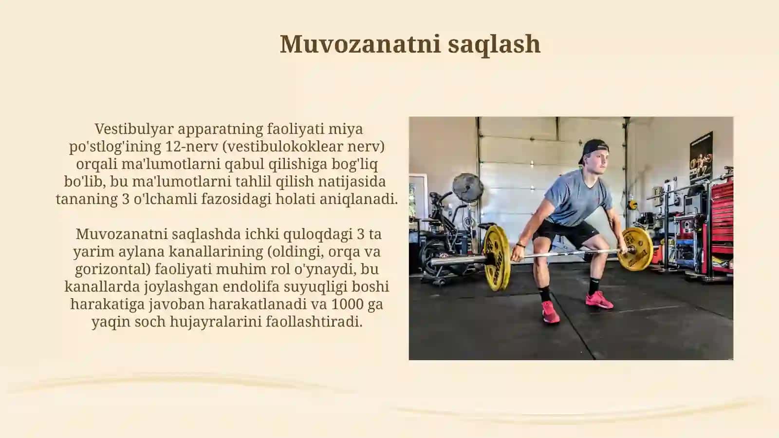 Jismoniy Sifatlarning Fiziologik Tavsifi 3