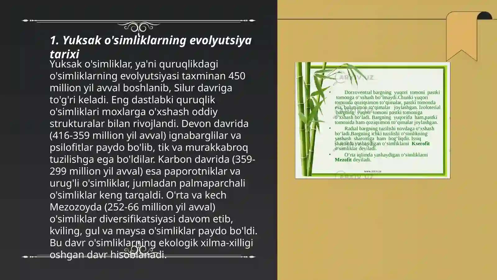 Yuksak o'simliklarning tarixi. O'rta Osiyo olimlarining o'simliklar haqidagi fikri 3