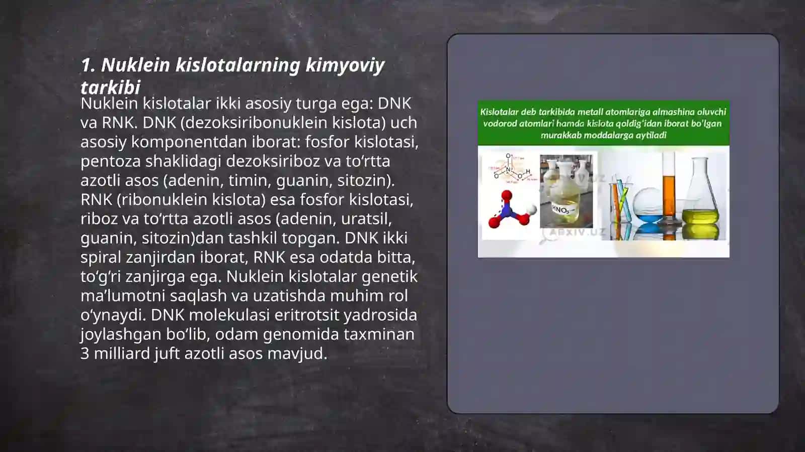 Nuklein kislota tuzilishi. Ularning funksiyalari 3