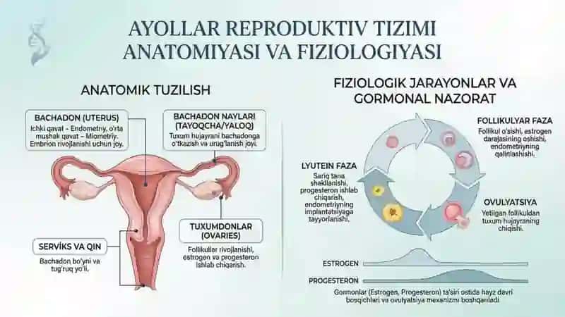 Ayollarga akusherlik Ginekologik Yordam 3