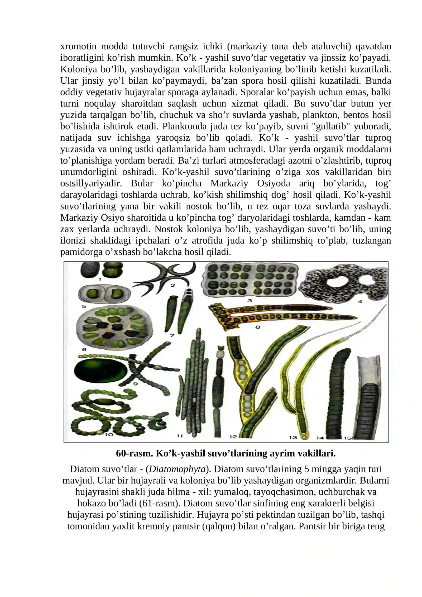 SUVO’TLARI (Algae), ULARNING KLASSIFIKATSIYASI VA QISHLOQ XO’JALIGIDAGI AHAMIYATI 3