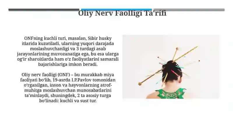Oliy Nerv Faoliyati 3