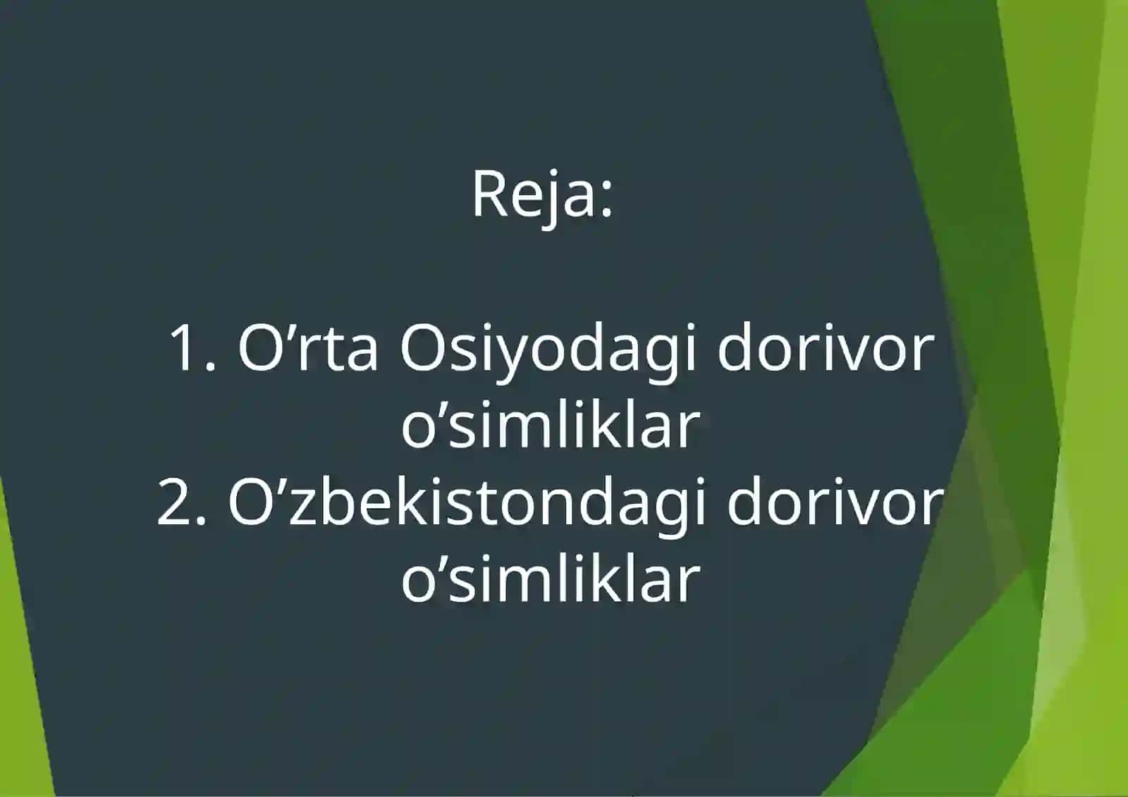 Boboyorov Farxodning dorivor o'simliklar fanidan tayorlagan taqdimoti 3