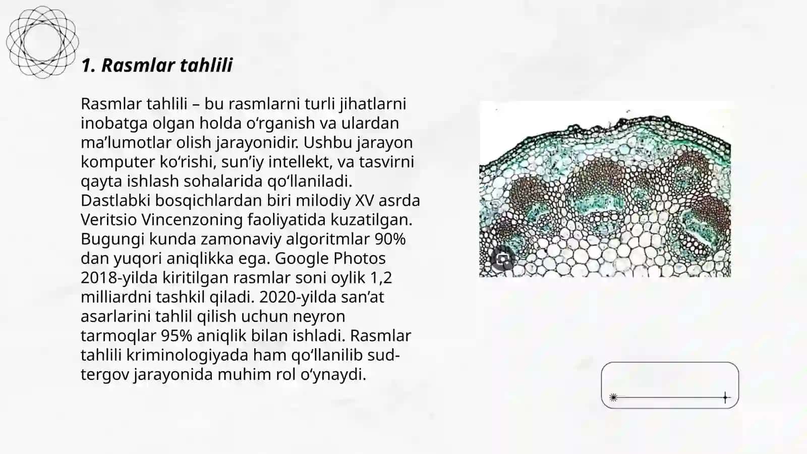 Rasmlar tahlili 3