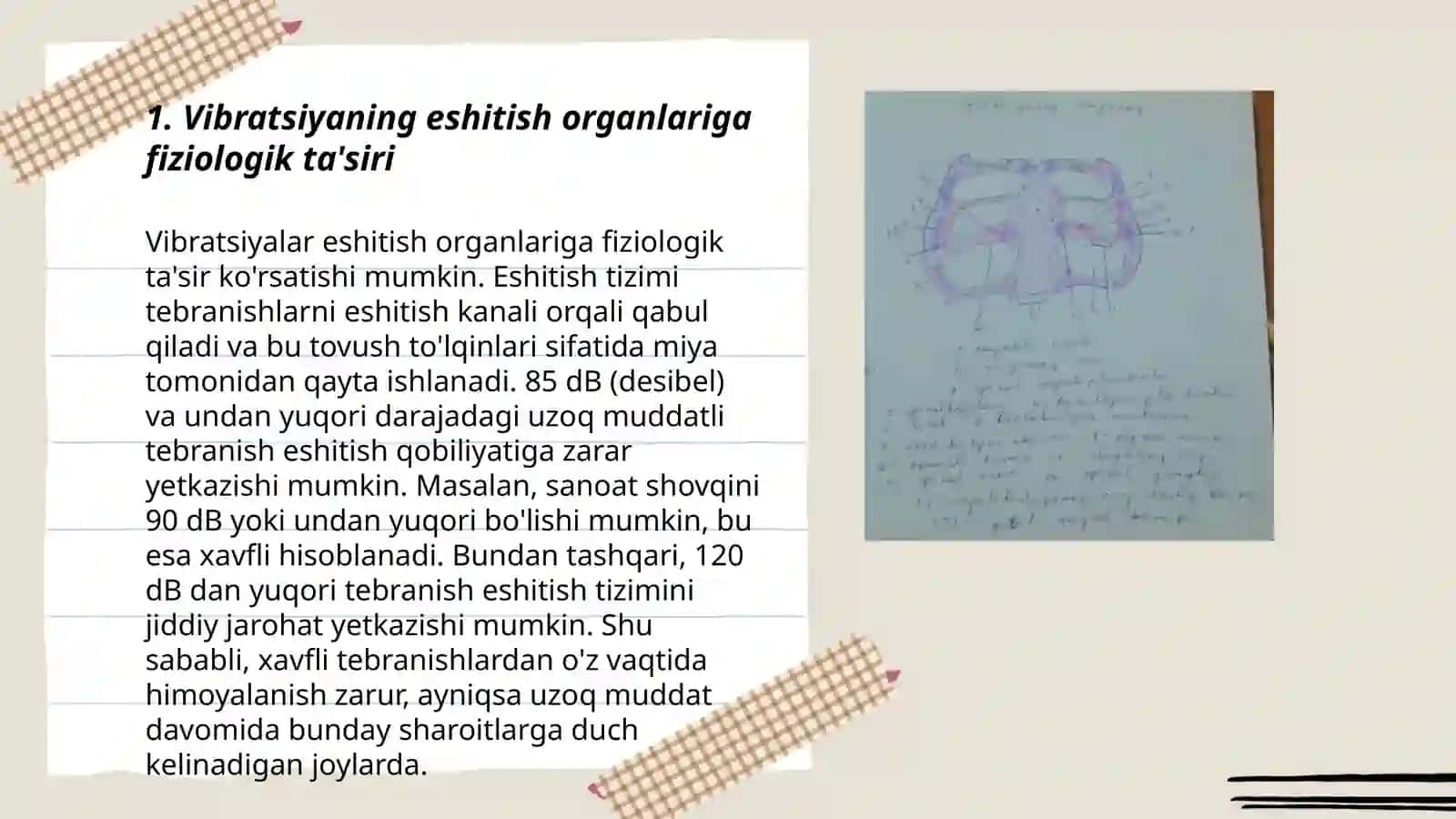 Vibratsiyaning eshitish va muozanat organlari tuzilishiga ta'siri 3