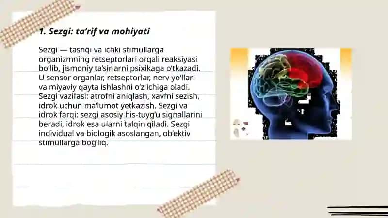 Sezgi 3