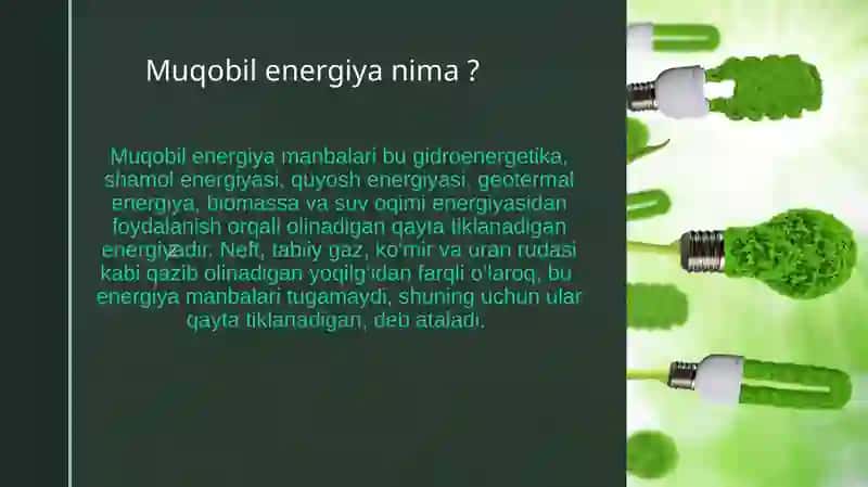 Muqobil energiya manbalaridan foydalanishda Germaniya va Daniya ta'jribasi 3