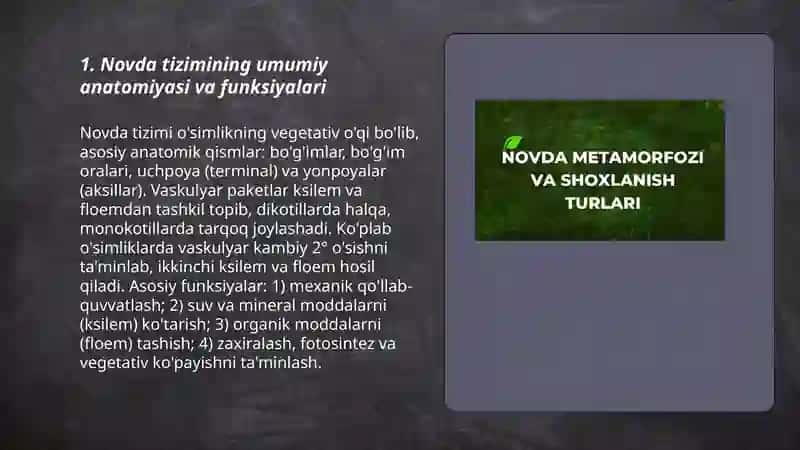 Novda tizimi: anatomiyasi, morfologiyasi va biologik xususiyatlari 3